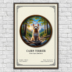 Cairn Terrier Zoologie-Serie Poster