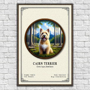 Cairn Terrier Zoologie-Serie Poster
