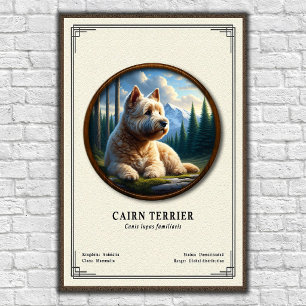 Cairn Terrier Zoologie-Serie Poster