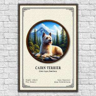 Cairn Terrier Zoologie-Serie Poster