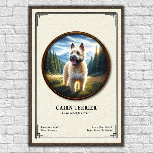 Cairn Terrier Zoologie-Serie Poster