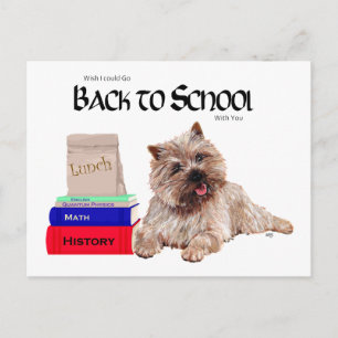 Cairn Terrier Zurück zur Schule Postkarte