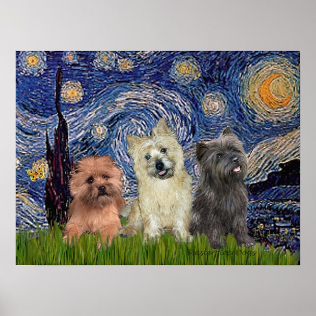 Cairn Terriers (drei) - Starry Night Poster (Vorne)