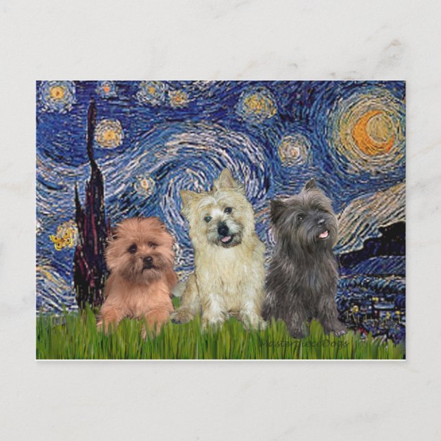 Cairn Terriers (drei) - Sternennacht Postkarte (Vorderseite)