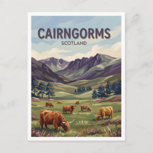 Cairngorms Highland-Rinder Aviemore Schottland Postkarte