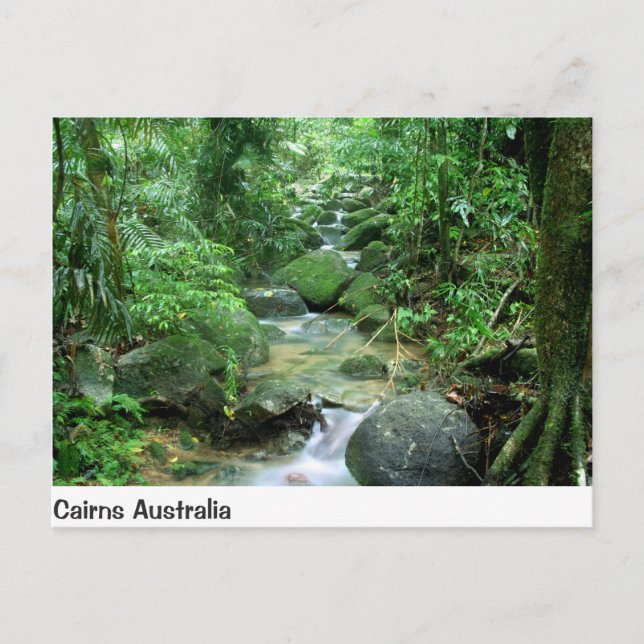 Cairns Forest Creek Queensland Australie Carte pos (Devant)