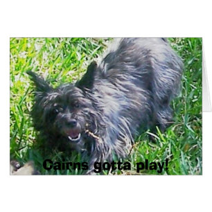 Cairns got, um zu spielen!