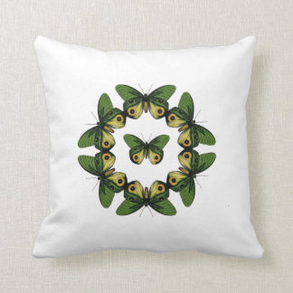 Caisse verte de coussin de papillon