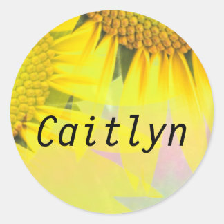 Caitlyn Rainbow Sunflores Name Stickers