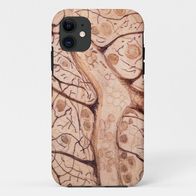 Cajals Neuronen 3 Case-Mate iPhone Hülle (Rückseite)