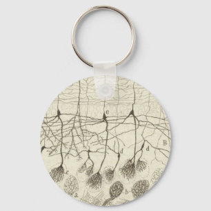 Cajal's Neurons 8 Schlüsselanhänger