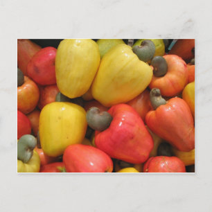 Caju, mãe natureza postkarte