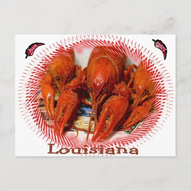 Cajun Pride Postcard Postkarte (Vorderseite)