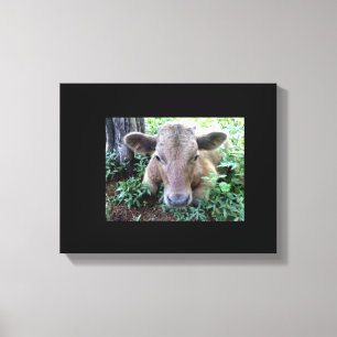Cala 1 Stretchierte Canvas Print Leinwanddruck
