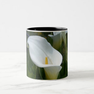 Cala Lilly Tasse