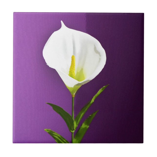 Cala Lily Blume Fliese (Vorderseite)