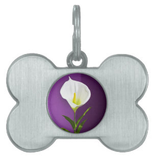 Cala Lily Blume Tiermarke