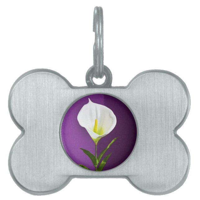 Cala Lily Blume Tiermarke (Vorderseite)