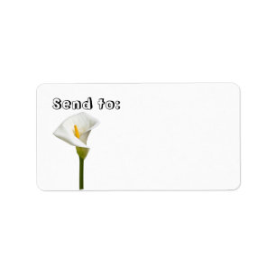Cala Lily Cadeau et Étiquette de adresse
