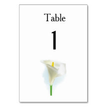 Cala Lily Moderne einfache Hochzeitsvorstellungen