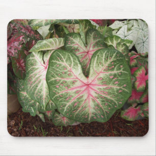 Caladium-Galaxie Mousepad