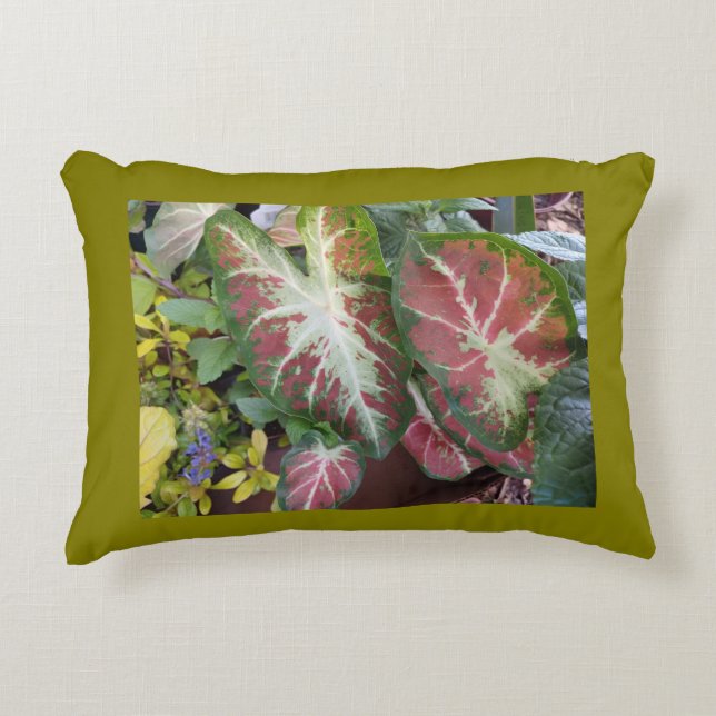 Caladium Garden  Dekokissen (Vorderseite)