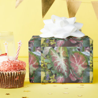 Caladium Garden Gardeners Delight Design Geschenkpapier