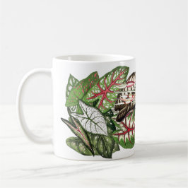 Caladium verlässt Tasse