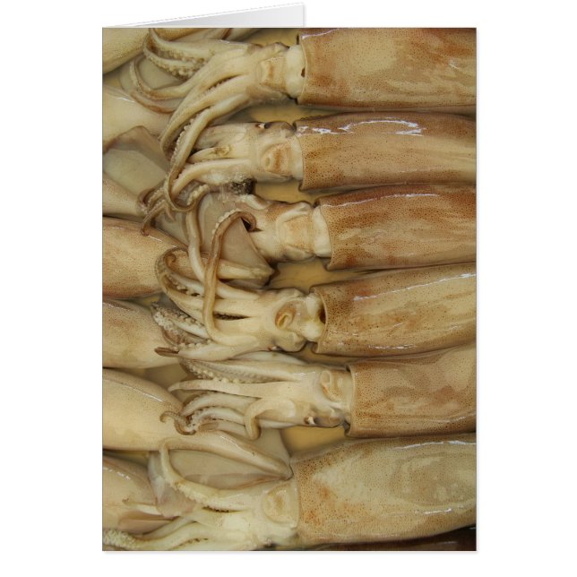 Calamari - Carte Calamari (Devant)