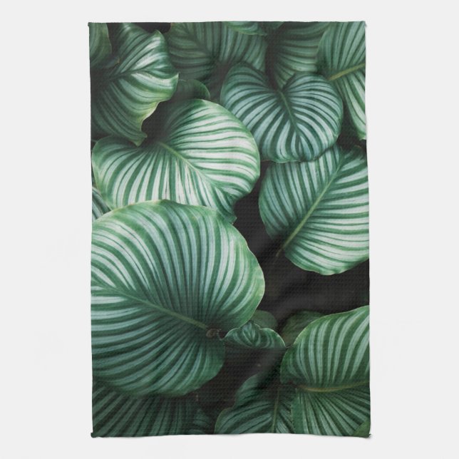 Calathea-Blätter, tropische Pflanze gestreift Geschirrtuch (Vertikal)