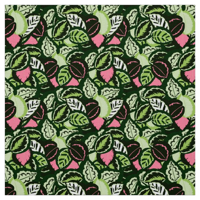 Calathea Dschle Stoff (Muster)