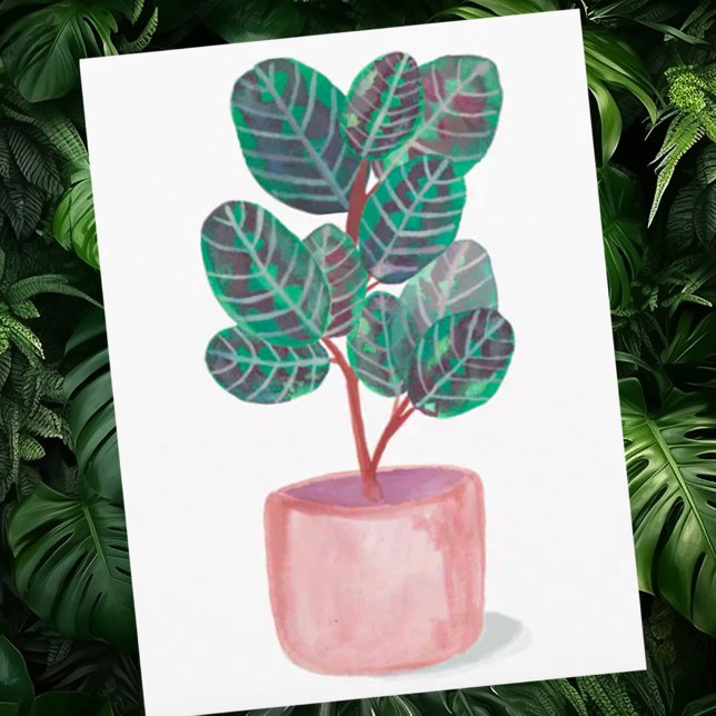 Calathea Gebet Pflanze Wasserfarbe Postkarte (Pretty watercolor houseplant custom postcard)