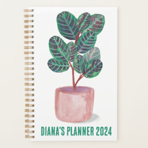 Calathea Gebet Pflanze Wasserfarben Häuserpflanze  Planer