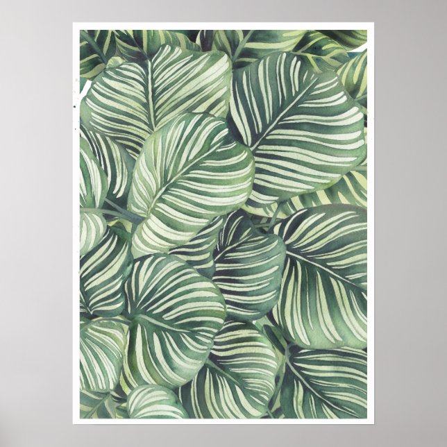 Calathea Orbifolia Aquarellfärbung Poster (Vorne)