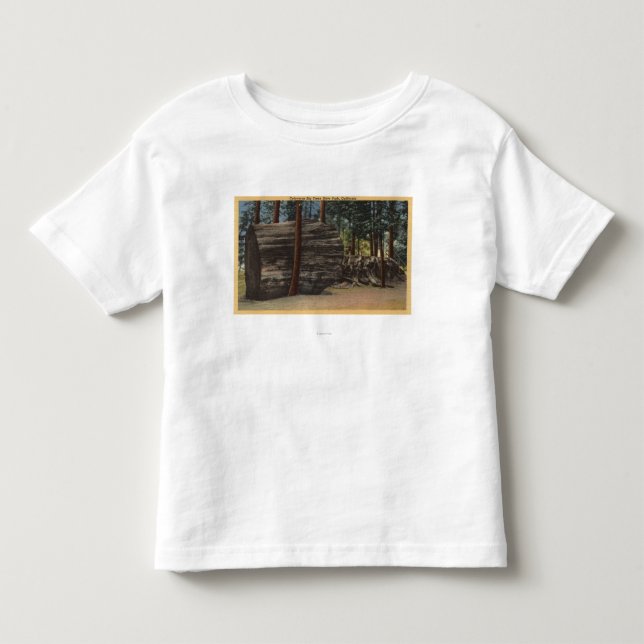 Calaveras großer Baum-Staats-Park Kleinkind T-shirt (Vorderseite)