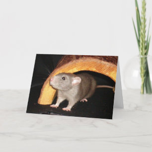 Caleb Card Dankeskarte