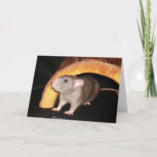 Caleb Card Dankeskarte