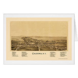 Caledonia, NY panoramische Karte - 1892