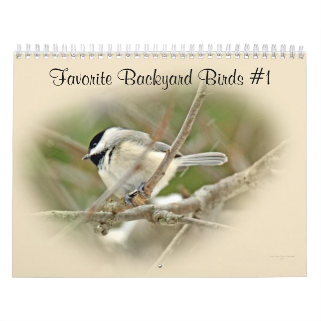 Calendar Favorite Hinterhofvögel #1 Kalender (Titelbild)