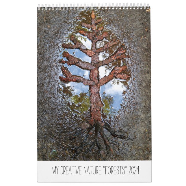 Calendar Forests 2024 Bäume Landart Natur Kalender (Titelbild)