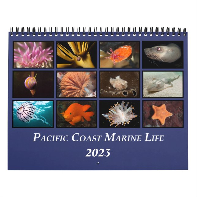 Calendar of Pacific Coast Marine Life Kalender (Titelbild)