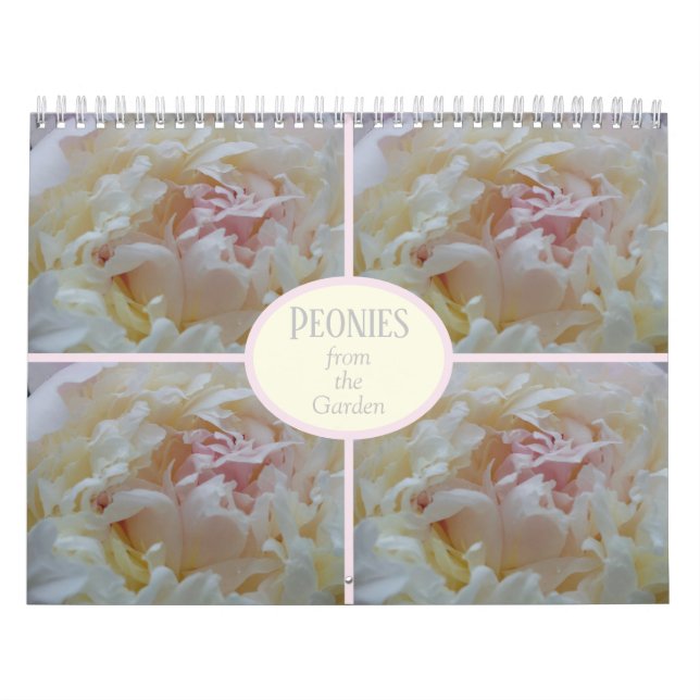 Calendar Peones aus meinem Garten Kalender (Titelbild)