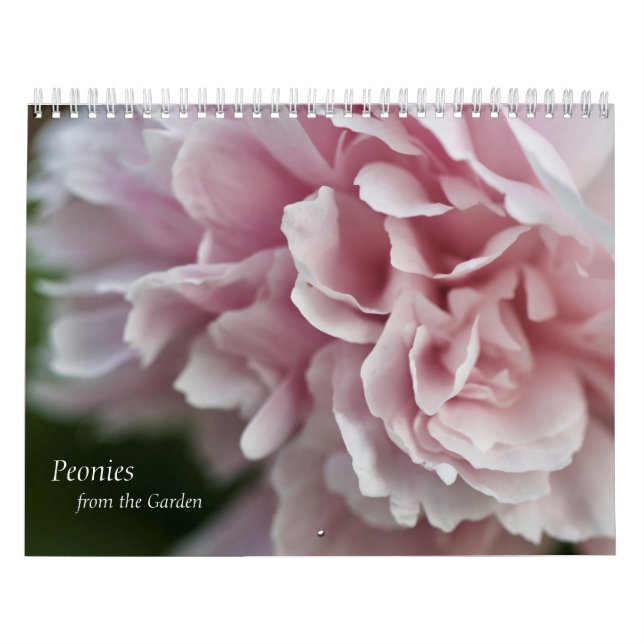 Calendar Peones Kalender (Titelbild)