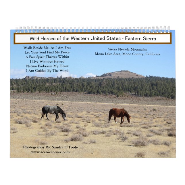 Calendar, Wild Horses, Eastern Sierra, California Kalender (Titelbild)