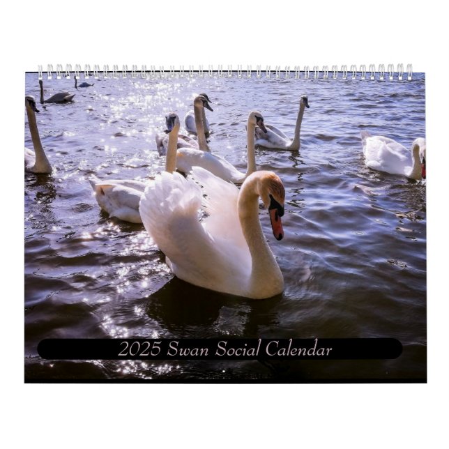 Calendrier (Protection)