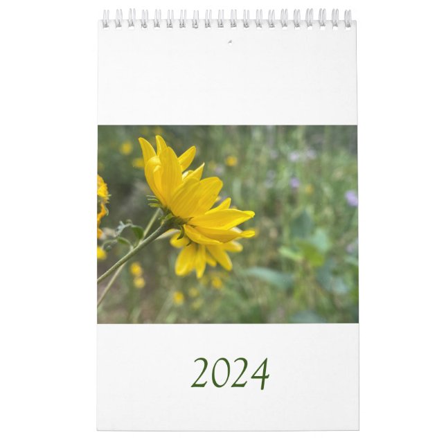 Calendrier (Protection)