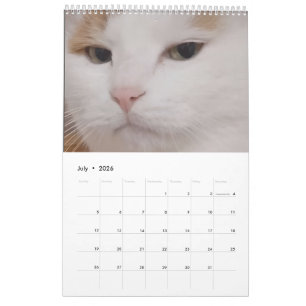 Calendrier