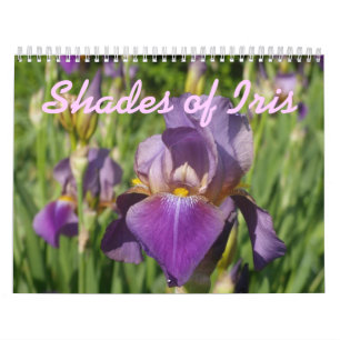 Calendrier 0 2013 nuances d'iris