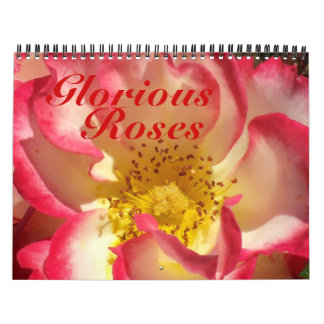 Calendrier 0 2013 roses glorieux
