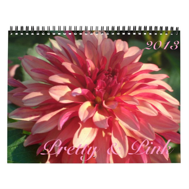 Calendrier 0 Pretty & Pink 2013 (Protection)